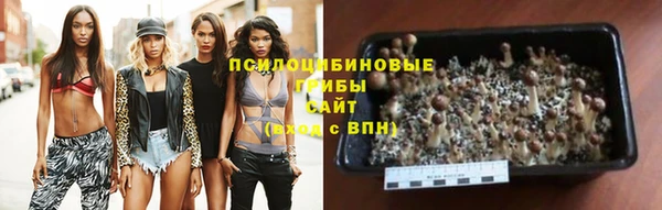 jwh Алзамай